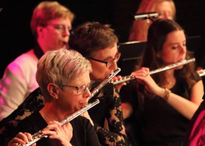 voorjaarsconcert 2018 muzikanten